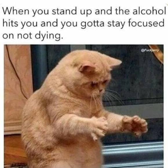 onyaines